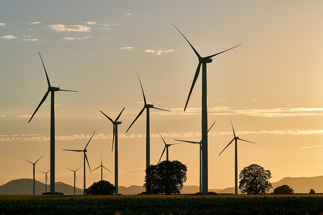 Read more about the article Powering the Future: Exploring Renewable Energy Technologies