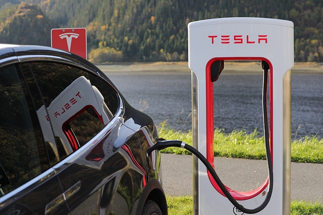 Read more about the article Tesla Company Review